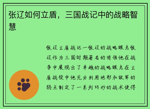 张辽如何立盾，三国战记中的战略智慧