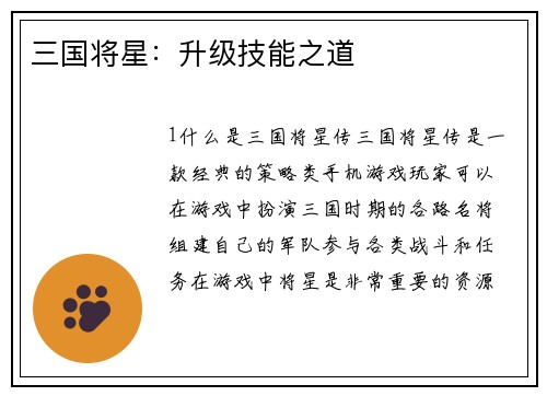三国将星：升级技能之道